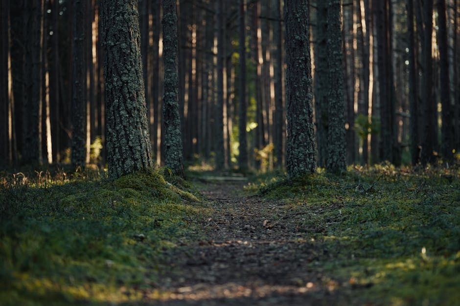 Coraz więcej turystów szuka miejsc „bez ludzi”, ale internet szybko je psuje