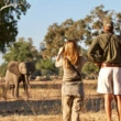 Uganda vs Kenia vs Tanzania – które afrykańskie safari naprawdę warto wybrać?